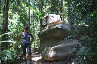 image_2